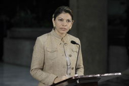 Chinchilla encabezará protesta contra Ortega