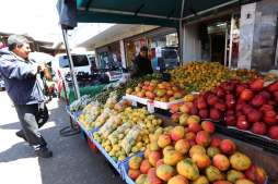 Impuesto a canasta genera más debate