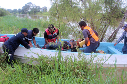 'La Bestia” se descarrila y mata al menos a cuatro hondureños