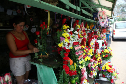 Floristas del Guamilito diversifican sus servicios