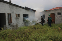 Fumigan más de 20 colonias de San Pedro Sula