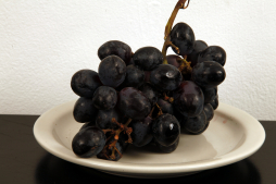 Alimentos que protegen la piel del sol