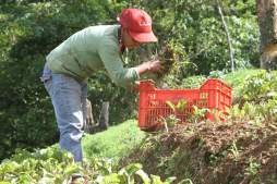 Ofrecen aprovechar el cambio climático