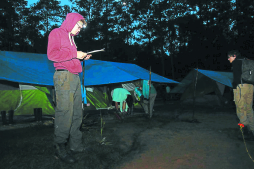 El cusuco maravilla  a científicos