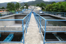 Sin agua y energía estarán miles de sampedranos