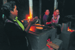 El cusuco maravilla  a científicos