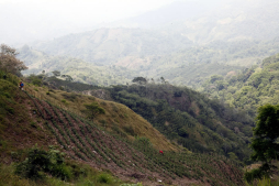 'Una masacre quieren hacer con El Merendón”