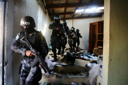 Entra en vigencia la creación de fuerza especializada Tigres