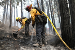 Incendio forestal en California