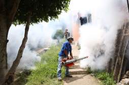 Sube a siete la cifra de muertos por dengue hemorrágico en Honduras en 2013