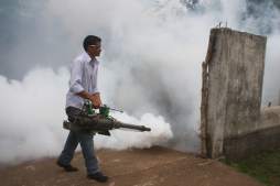 Investigan muerte de menor en el IHSS por dengue hemorrágico