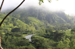Directora de Unesco conocerá biosfera entre El Salvador, Honduras y Guatemala