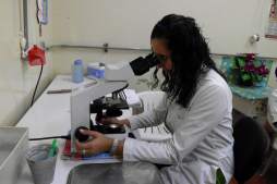 Honduras registra 66 casos de rotavirus en el primer trimestre de 2013