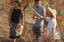 Elaboran catastro en entorno de la biosfera del Río Plátano