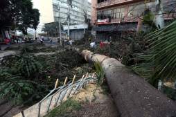 Lodo y destrucción dejan lluvias en Tegucigalpa
