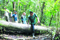 El cusuco maravilla  a científicos