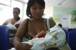 Casos de dengue en Honduras podrían ser 10,000