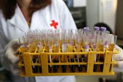 Gobierno le adeuda L20 millones a la Cruz Roja Hondureña