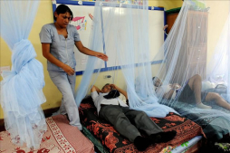 Alarma en Honduras por muerte de 10 personas por dengue hemorrágico