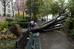 Nueva York despierta sin luz, transporte y aislada tras pesadilla de Sandy