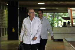 Las Farc admiten daño causado a Colombia