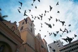 Tegucigalpa está de fiesta al cumplir 434 años de fundación