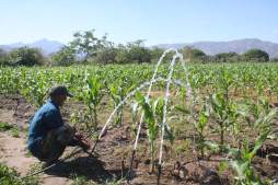 El BCIE presta 52 millones de dólares para programa agrícola en Honduras