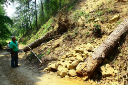 Problemas ambientales acorralan a sampedranos