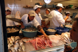 Honduras prevé meta de crecimiento de entre 3 y 4 % en 2013, pese a crisis