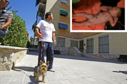 Rescatan a bebé lanzado a una tubería por su madre en España