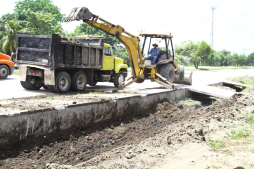 Limpian para evitar el mal del dengue en Choloma