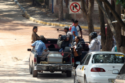 Caballos matan a un anciano