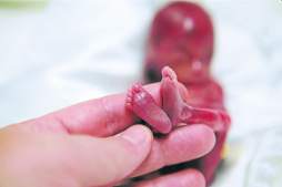 Fotografía a su bebé de 19 semanas