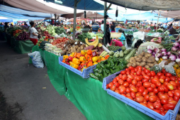 Canasta básica de Honduras quedará reducida a la mitad