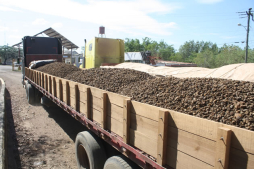 Sin fecha socialización de ley que cede bienes