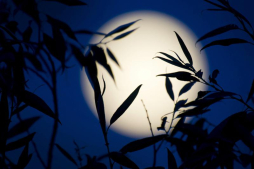 Las mejores fotos de la superluna del 2013