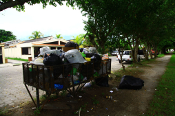 Atestadas de basura están las calles de San Pedro Sula