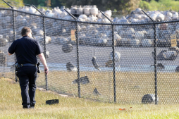 EUA: 8 heridos en explosión de planta de gas en Florida