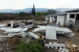 Saquean viviendas de Ciudad Mateo