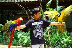 Luchan por rescatar el turismo en Copán Ruinas