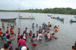 Liberan a ballena tras quedar atrapada en red de pescadores