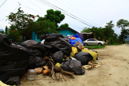 Atestadas de basura están las calles de San Pedro Sula