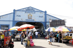 Avanza proceso de unión aduanera