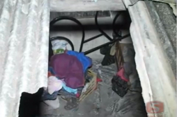 Cae vaca desde el techo y mata a un hombre