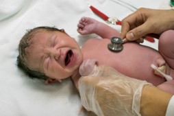 Estaba vivo bebé dado por muerto en hospital de Argentina