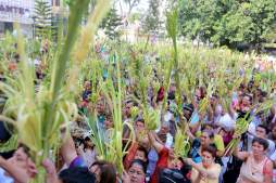 '¡Hossana, bendito el que viene en nombre del señor”