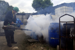 El 71% de casos de dengue se detectan en el Seguro Social