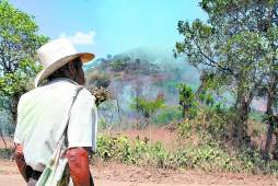 Bosques del centro y sur, amenazados por el fuego