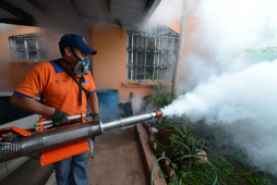 Dengue deja ya 26 muertos y casi 40,000 enfermos en Centroamérica