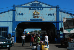 Instalan vigilancia sanitaria por tos ferina